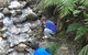 Shelley Forest Camp - thumb 2