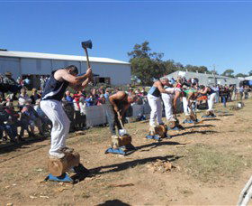 Quirindi Rural Heritage Village - Accommodation Batemans Bay 1