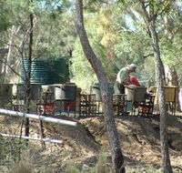 7 Oaks Sapphire Fossicking - Accommodation Batemans Bay