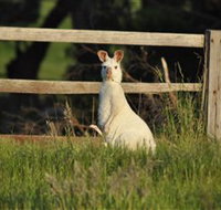 Panorama Garden Estate - Accommodation Batemans Bay