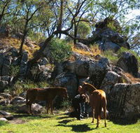 Coomba Falls - Accommodation Batemans Bay