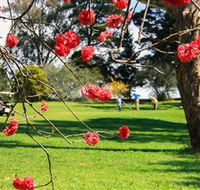 The Yass Golf Club - Accommodation Batemans Bay