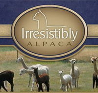 Marchmont Park Alpacas - Accommodation Batemans Bay