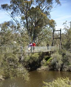 Avon Park - Accommodation Batemans Bay 0