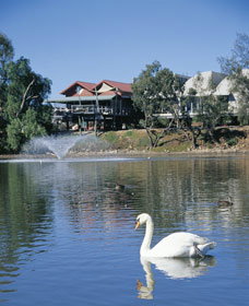 Avon River - Accommodation Batemans Bay 3