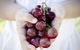 Granitevale  Estate Winery - thumb 0