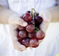 Granitevale  Estate Winery - Accommodation Batemans Bay