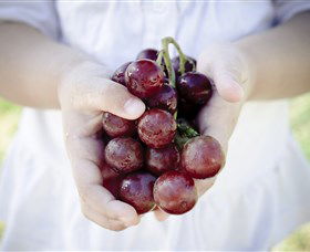 Granitevale  Estate Winery - Accommodation Batemans Bay 0
