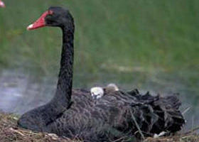  Accommodation Batemans Bay