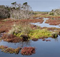 French Island National Park - Accommodation Batemans Bay