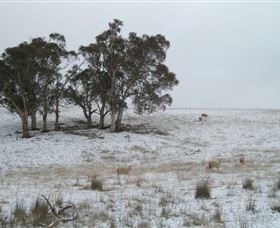 Crookwell Wind Farm - Accommodation Batemans Bay 2
