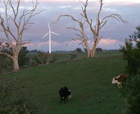 Crookwell Wind Farm - Accommodation Batemans Bay 1