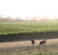 Small Forest Wine - Accommodation Batemans Bay