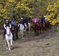 Burnelee Excursions on Horseback - Accommodation Batemans Bay