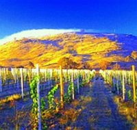 Surveyors Hill Winery - Accommodation Batemans Bay