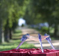 Lillico Glass Studio - Accommodation Batemans Bay