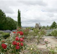 Crystal Brook Lavender Farm - Accommodation Batemans Bay