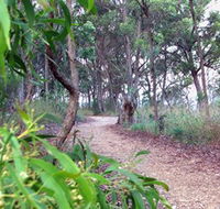 Mount Mutton Walking Trail - Accommodation Batemans Bay