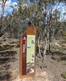 Mulligans Flat - Accommodation Batemans Bay 1