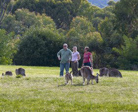 Tidbinbilla - Accommodation Batemans Bay 1