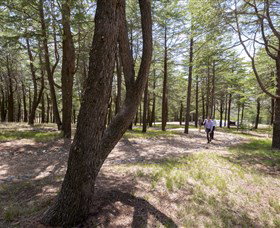 The National Arboretum Canberra - Accommodation Batemans Bay 3