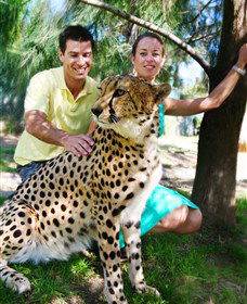 National Zoo & Aquarium - Accommodation Batemans Bay 0