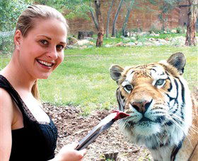 National Zoo & Aquarium - Accommodation Batemans Bay 1