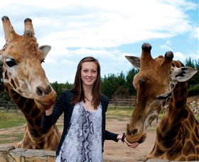 National Zoo & Aquarium - Accommodation Batemans Bay 2