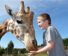 National Zoo & Aquarium - Accommodation Batemans Bay 3