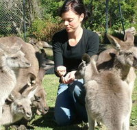 Canons Shuttles Day Tours - Accommodation Batemans Bay