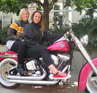 Wild Ride Harley and Motorcycle Tours - Accommodation Batemans Bay