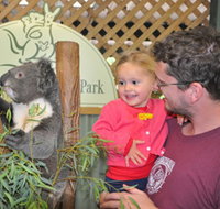 Blue Diamond Tours - Accommodation Batemans Bay