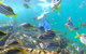 EcoTreasures - thumb 0