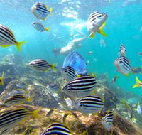 EcoTreasures - Accommodation Batemans Bay