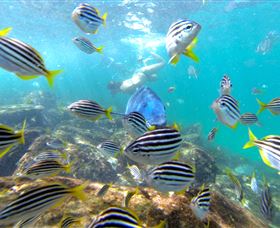 EcoTreasures - Accommodation Batemans Bay 0