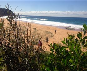 EcoTreasures - Accommodation Batemans Bay 2