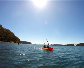 EcoTreasures - Accommodation Batemans Bay 4