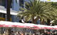 Sydneys Fish Market - thumb 1