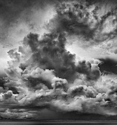 Annandale Galleries - Accommodation Batemans Bay 0