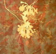 Fellia Melas Gallery - Accommodation Batemans Bay