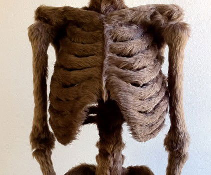 Galleryeight - Accommodation Batemans Bay 2