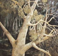 Ku-Ring-Gai Art Centre  Gallery - Accommodation Batemans Bay