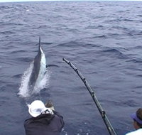 Amokura Charters - Accommodation Batemans Bay