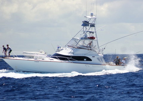 Amokura Charters - Accommodation Batemans Bay 2