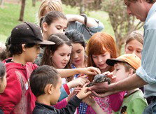 Blackbutt Reserve - Accommodation Batemans Bay 2