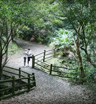 Blackbutt Reserve - Accommodation Batemans Bay 3