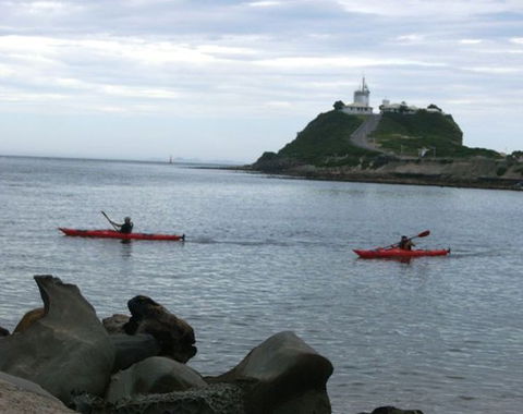 Newcastle Kayak Tours - Accommodation Batemans Bay 0