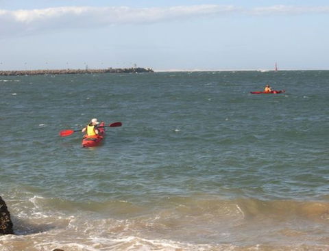 Newcastle Kayak Tours - Accommodation Batemans Bay 1