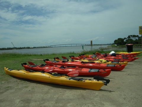 Newcastle Kayak Tours - Accommodation Batemans Bay 2
