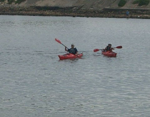Newcastle Kayak Tours - Accommodation Batemans Bay 4